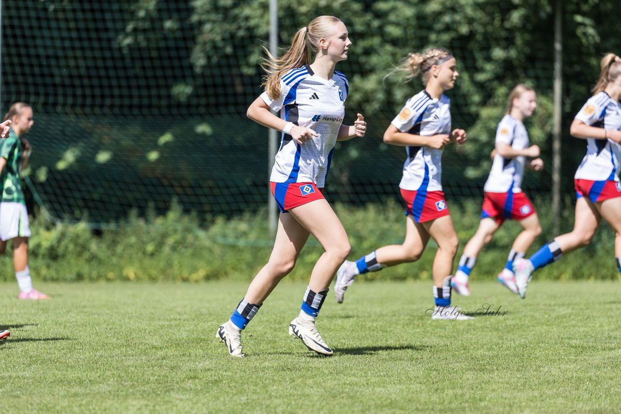 Bild 171 - wBJ Hamburger SV - VfL Wolfsburg : Ergebnis: 5:1